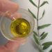 degusta olio evo, zucchineinfuga